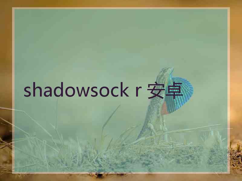 shadowsock r 安卓