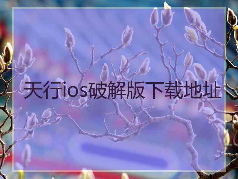 天行ios破解版下载地址