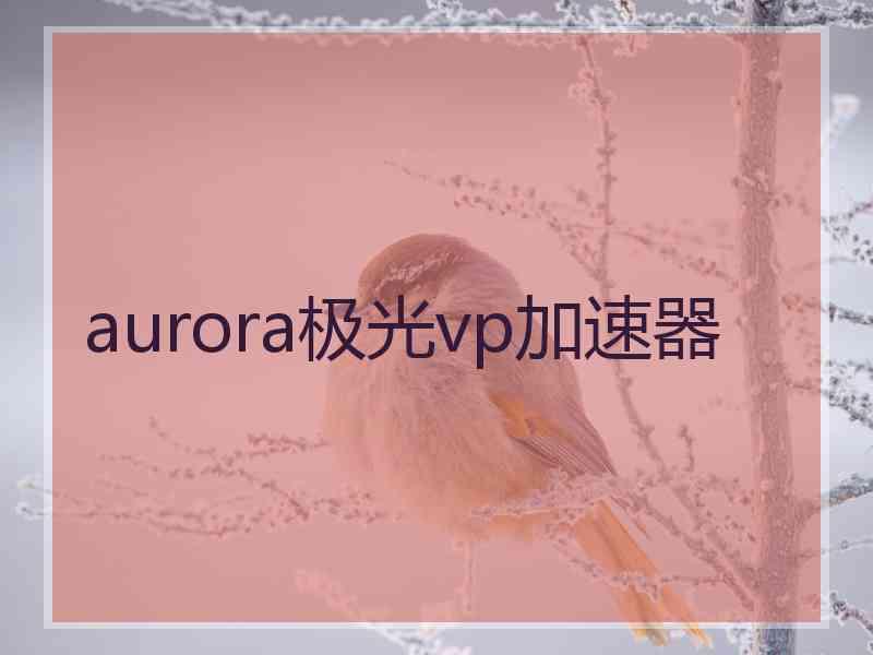 aurora极光vp加速器