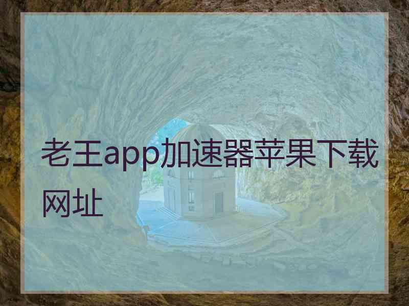 老王app加速器苹果下载网址