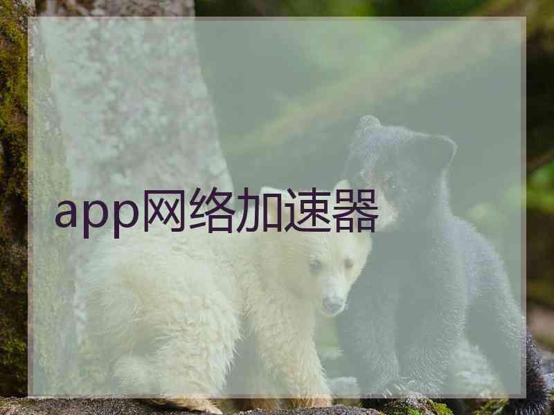 app网络加速器