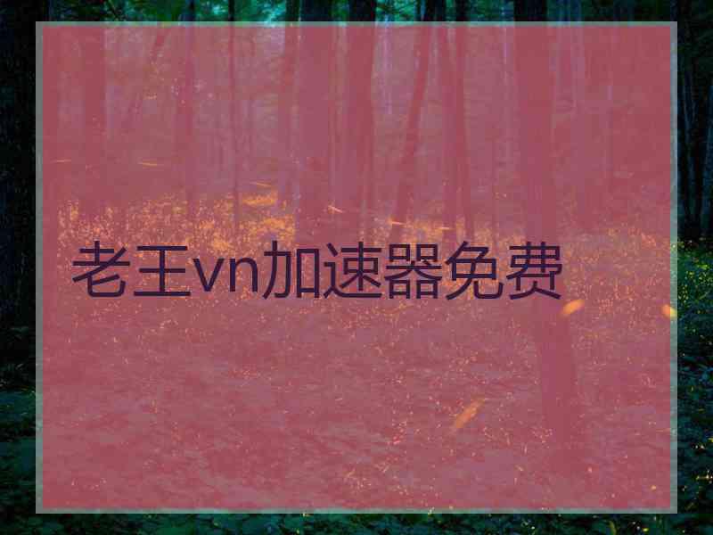 老王vn加速器免费