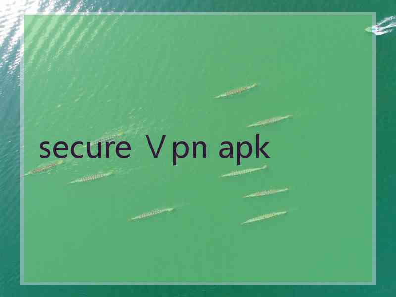 secure Ⅴpn apk