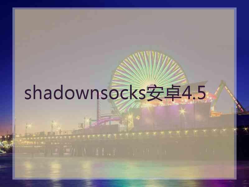 shadownsocks安卓4.5