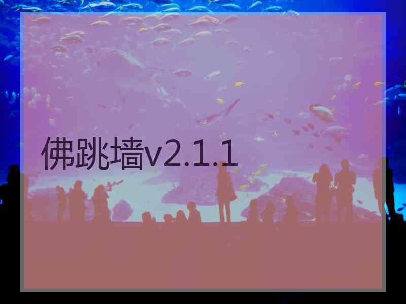 佛跳墙v2.1.1