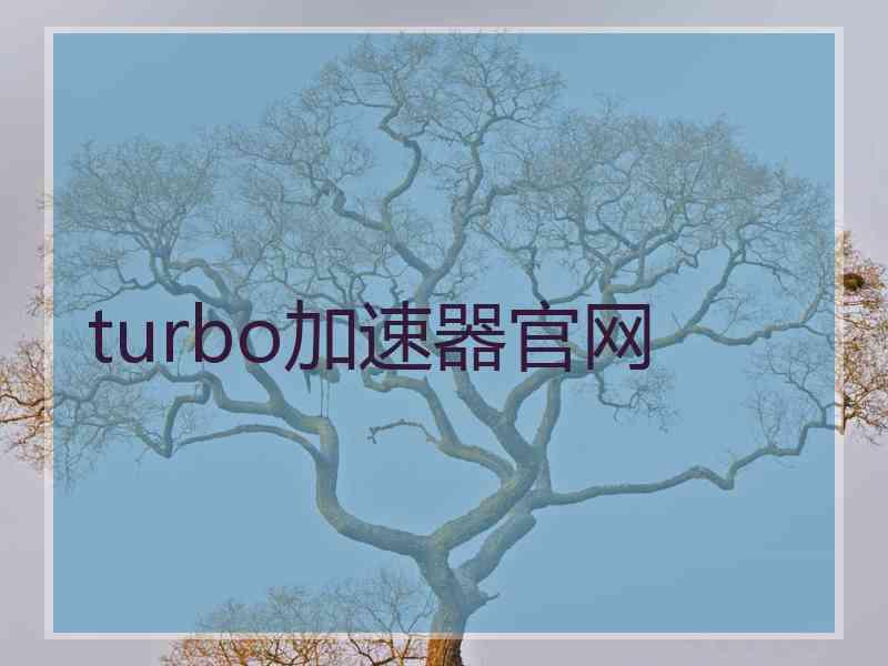 turbo加速器官网