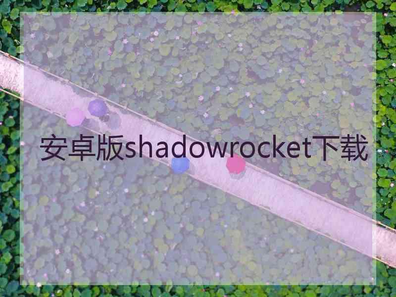 安卓版shadowrocket下载