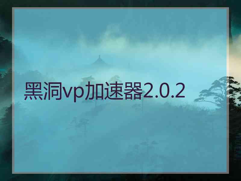 黑洞vp加速器2.0.2