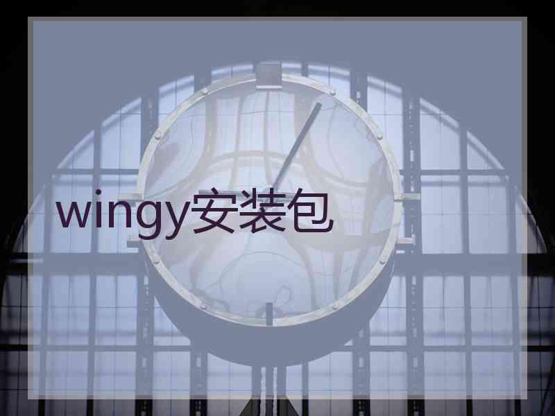 wingy安装包