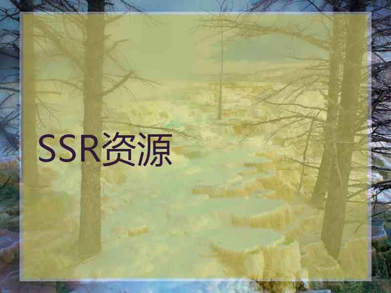 SSR资源