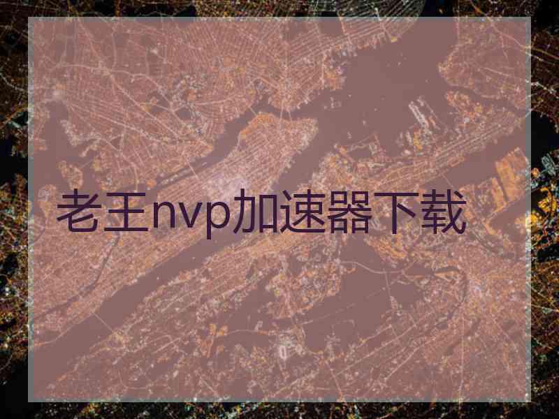 老王nvp加速器下载