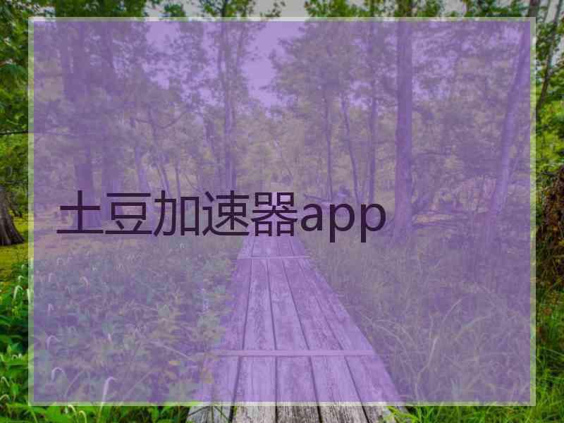 土豆加速器app