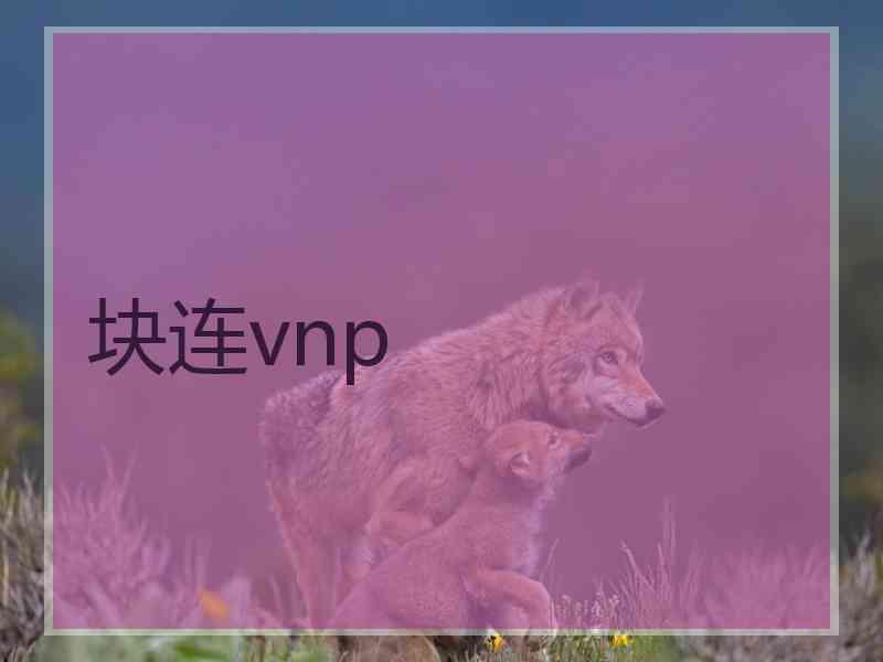 块连vnp