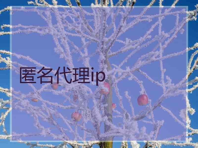 匿名代理ip