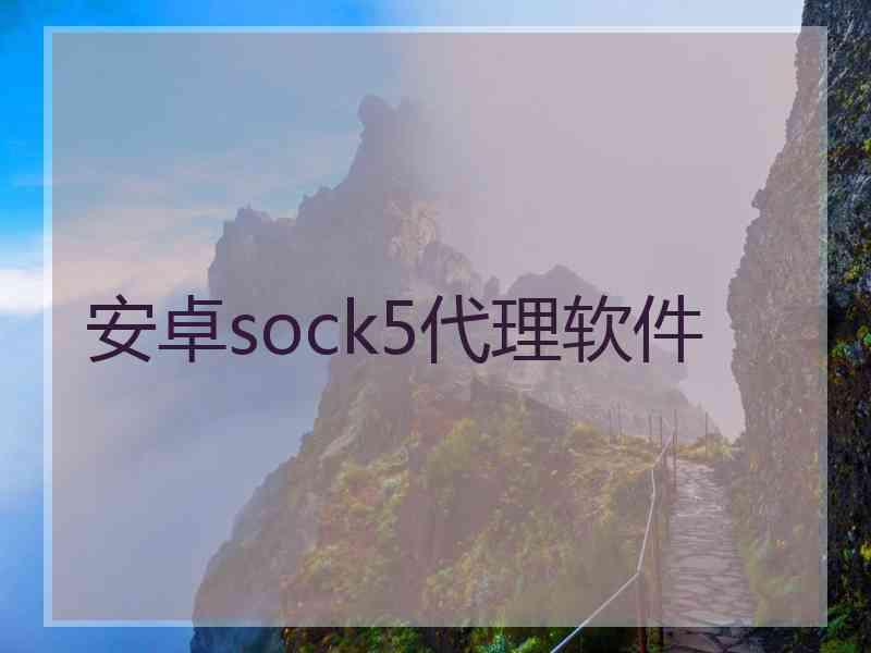 安卓sock5代理软件