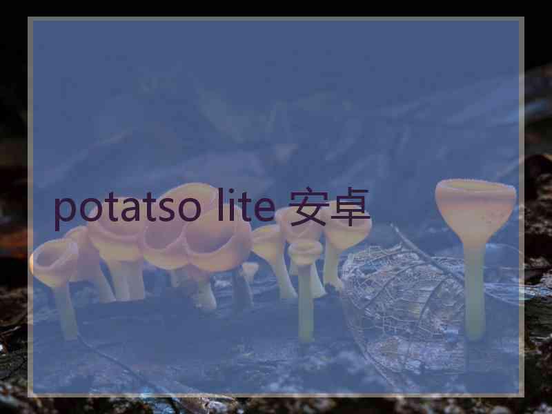 potatso lite 安卓