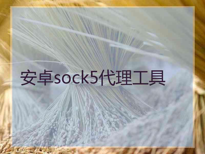 安卓sock5代理工具