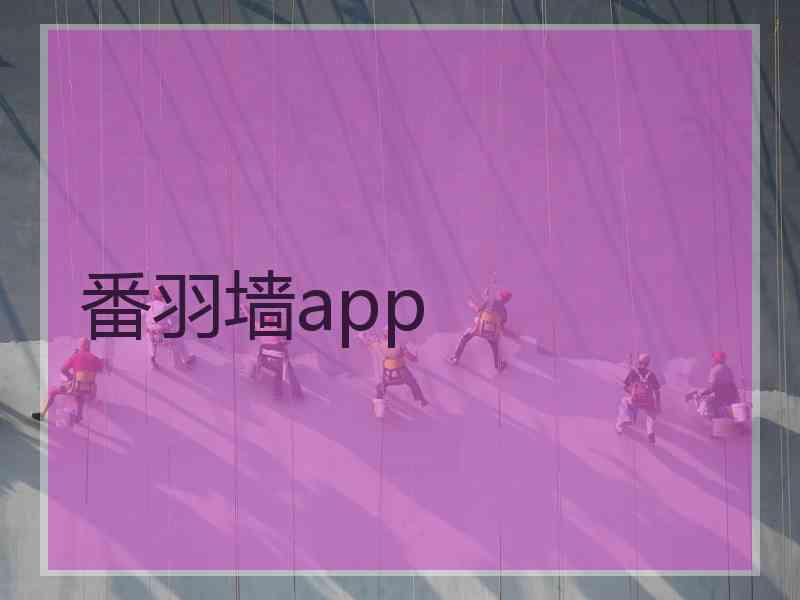 番羽墙app