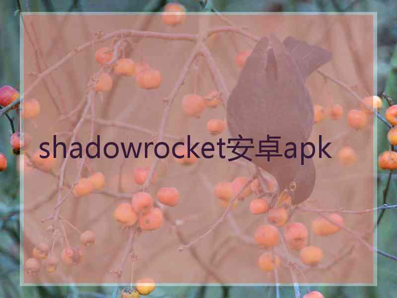 shadowrocket安卓apk