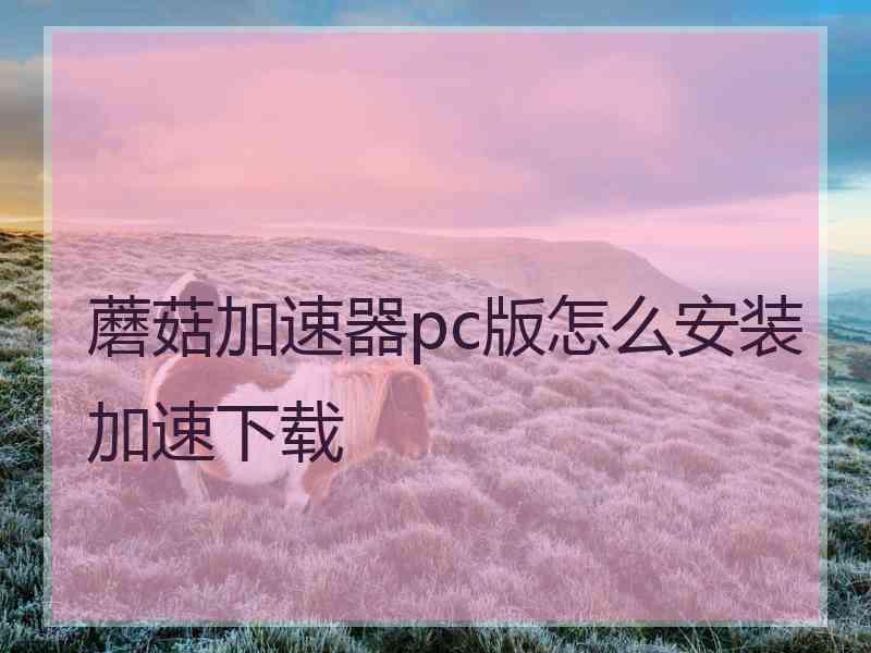 蘑菇加速器pc版怎么安装加速下载