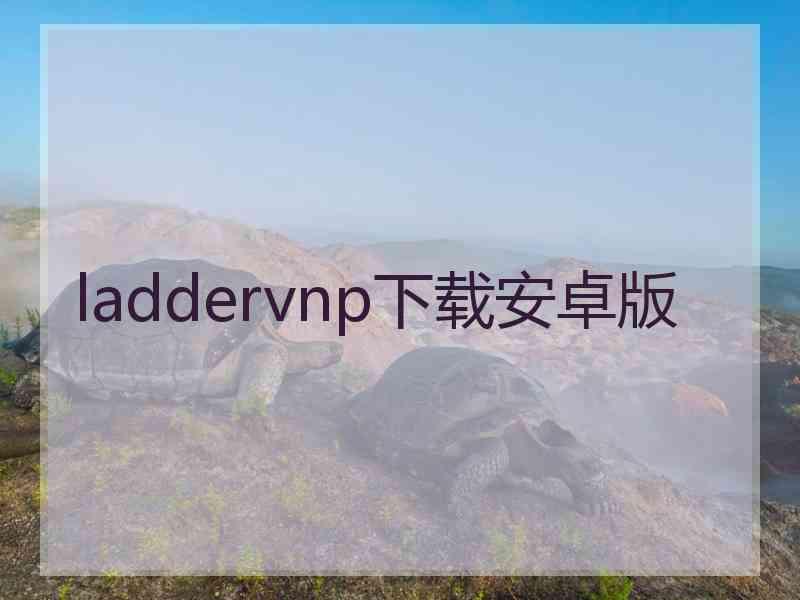 laddervnp下载安卓版