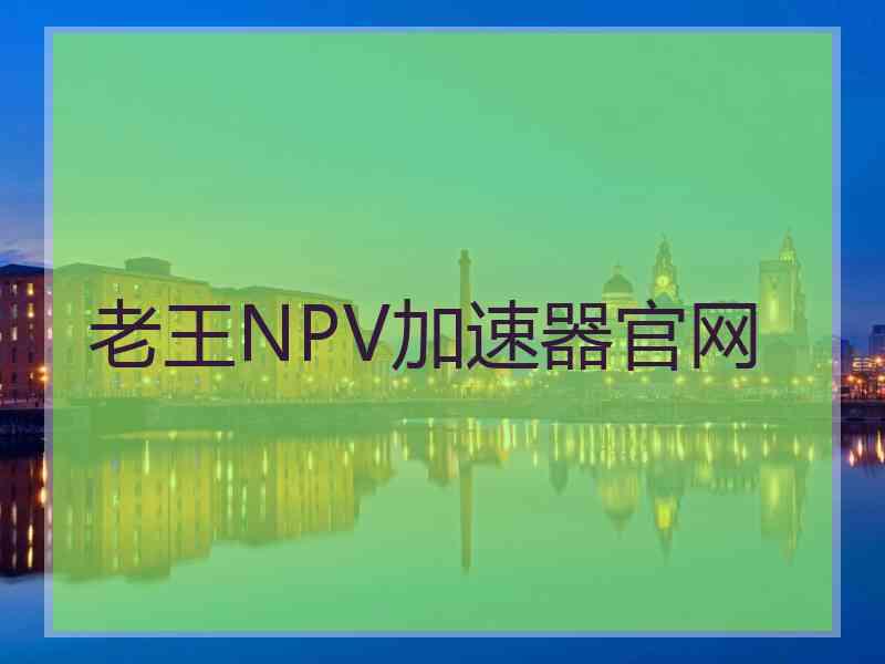 老王NPV加速器官网