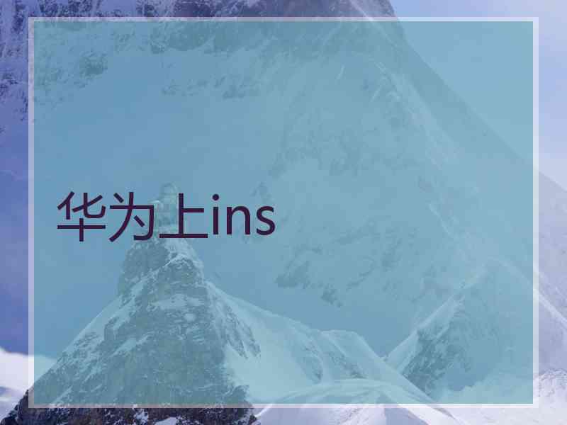 华为上ins