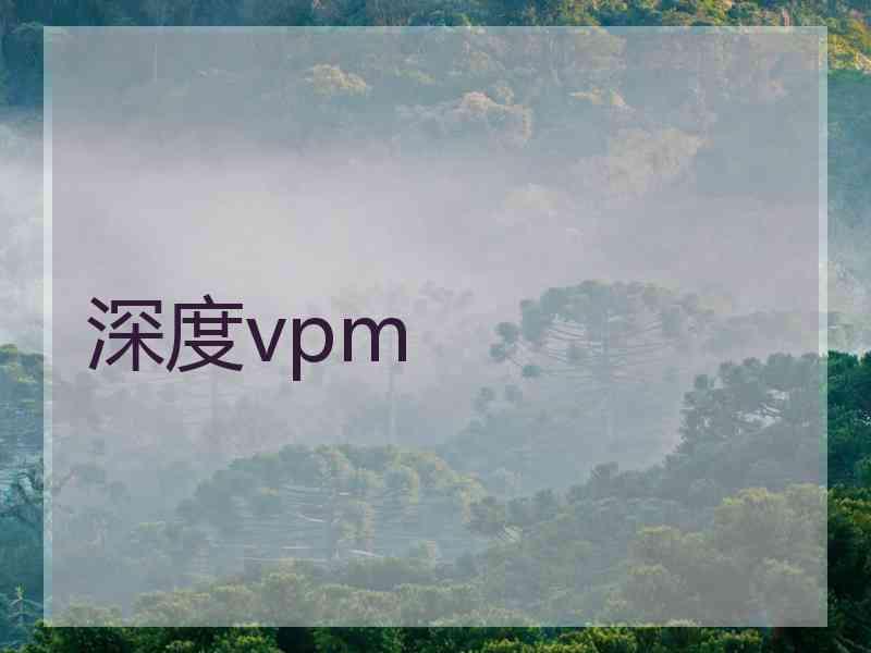 深度vpm