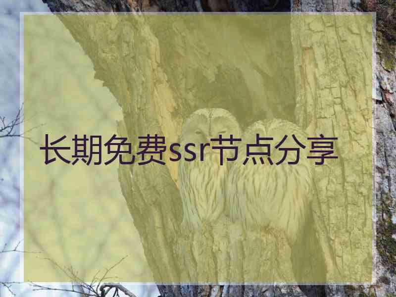 长期免费ssr节点分享