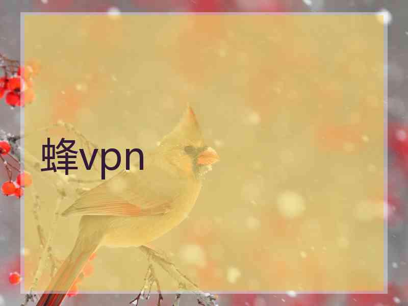 蜂vpn