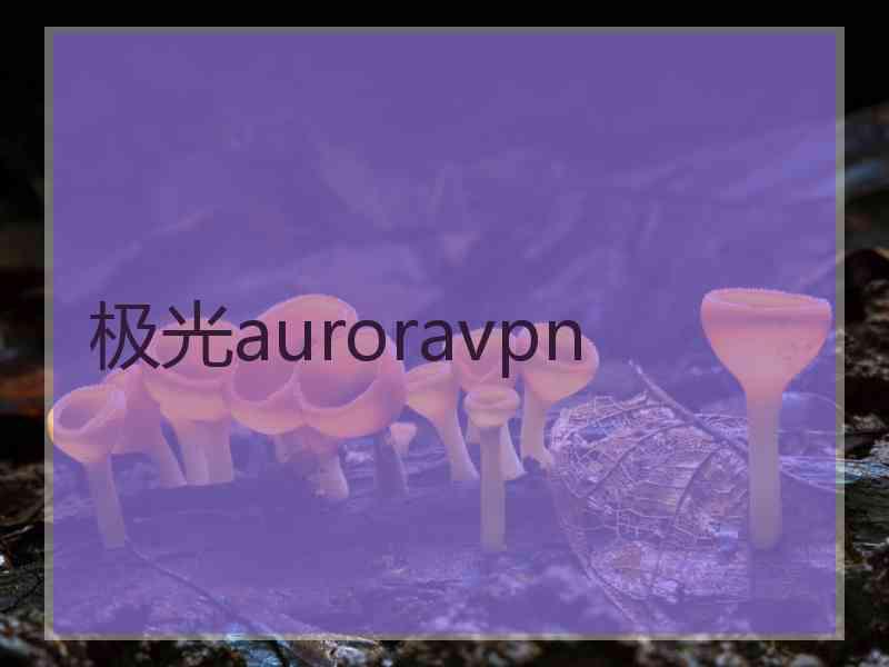 极光auroravpn