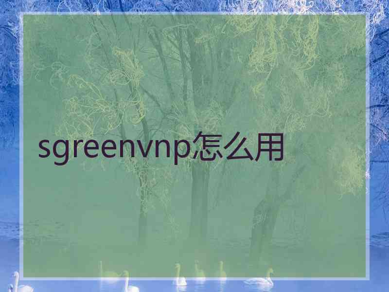 sgreenvnp怎么用