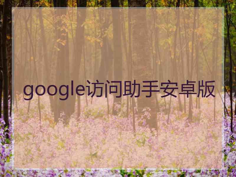 google访问助手安卓版