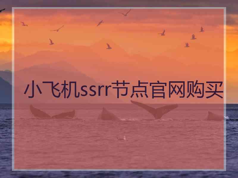 小飞机ssrr节点官网购买