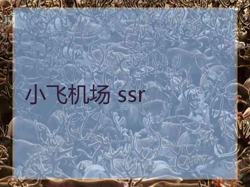 小飞机场 ssr