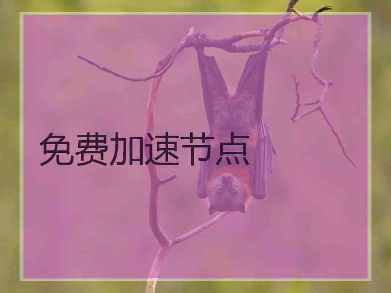 免费加速节点