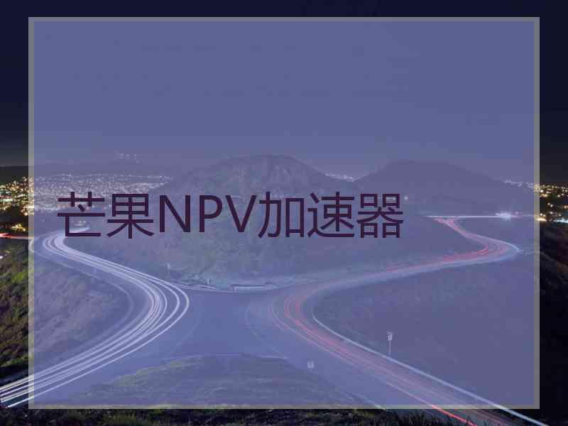 芒果NPV加速器