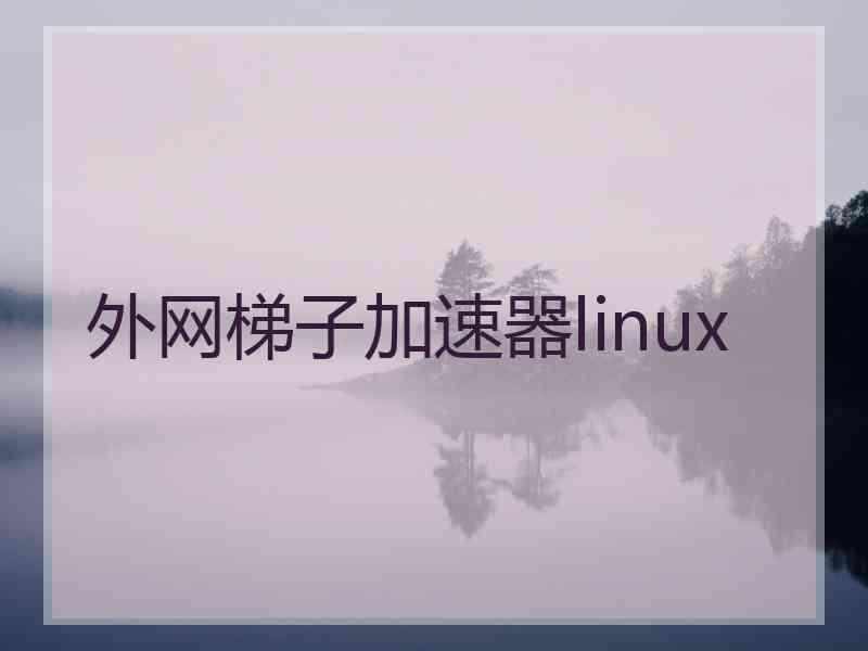 外网梯子加速器linux