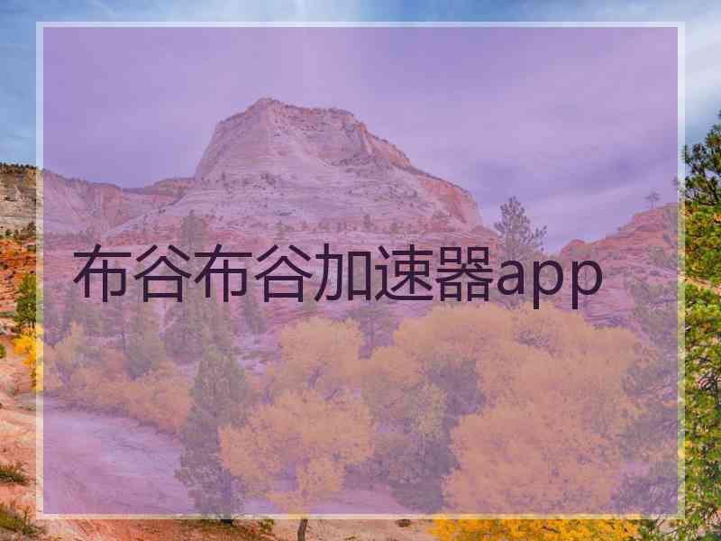 布谷布谷加速器app