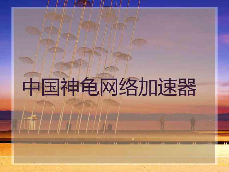 中国神龟网络加速器