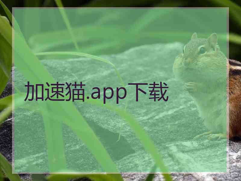 加速猫.app下载