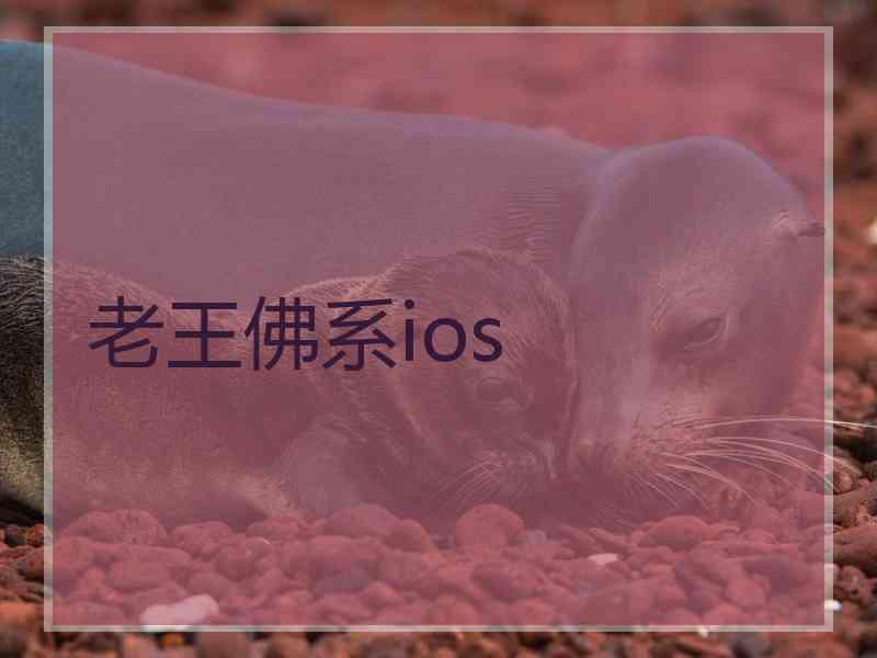 老王佛系ios