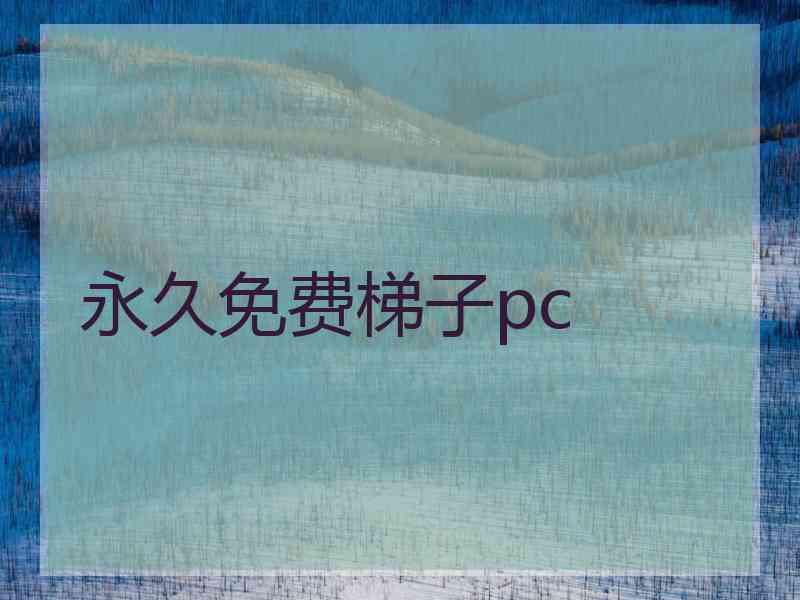 永久免费梯子pc