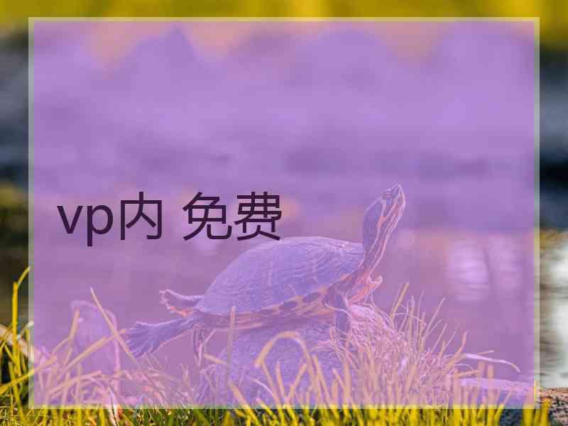 vp内 免费