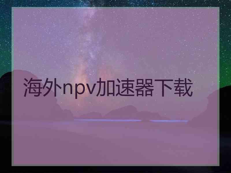 海外npv加速器下载