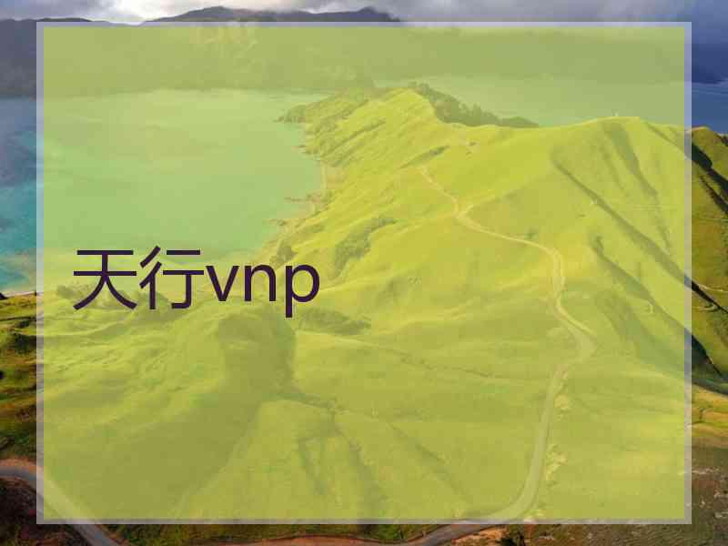 天行vnp