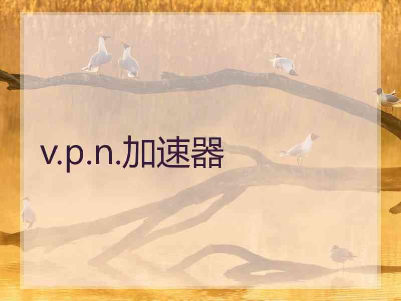 v.p.n.加速器