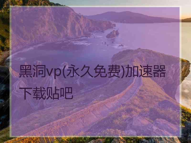 黑洞vp(永久免费)加速器下载贴吧