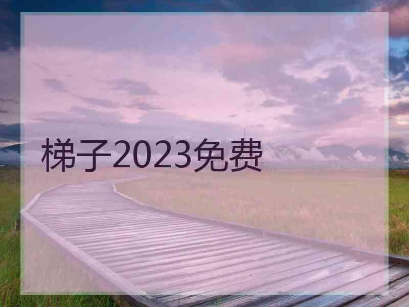 梯子2023免费