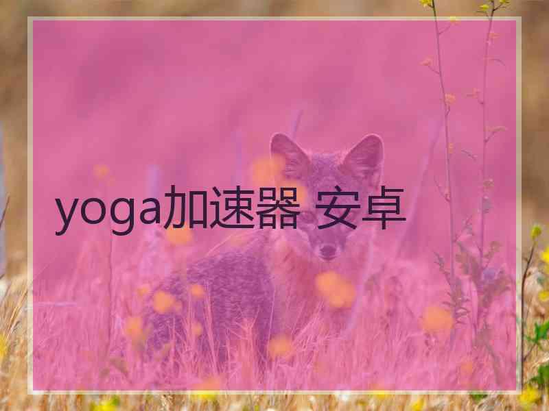 yoga加速器 安卓